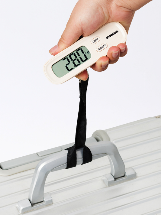 Travel Scale