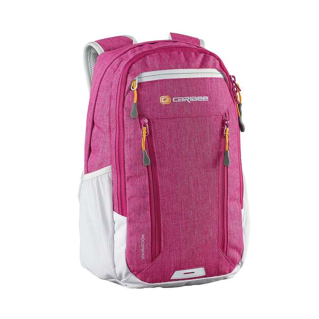 16L Hoodwink Day Pack