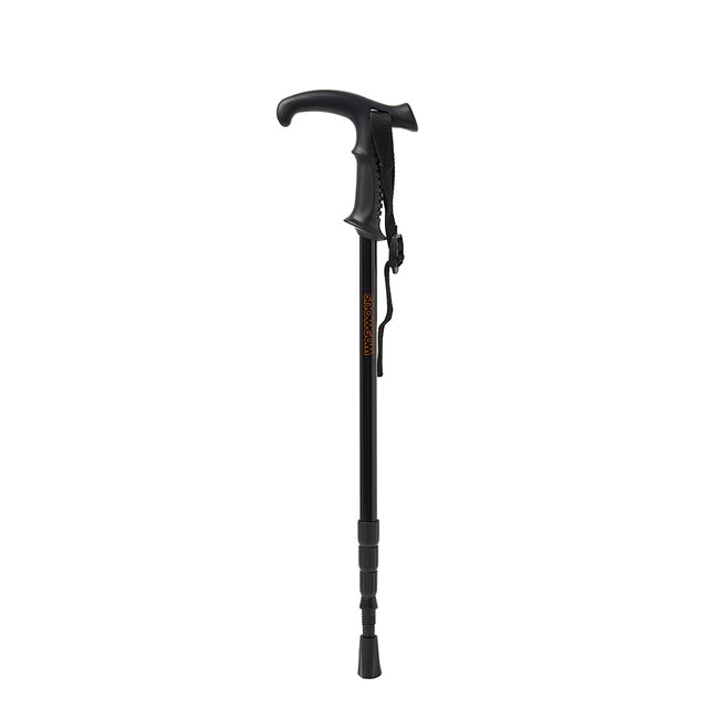 4 Piece Walking Stick