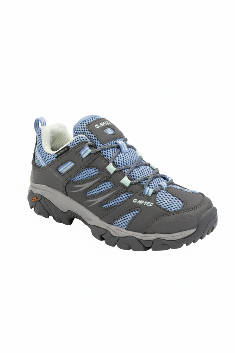 Gray and blue hiking shoe on a white background