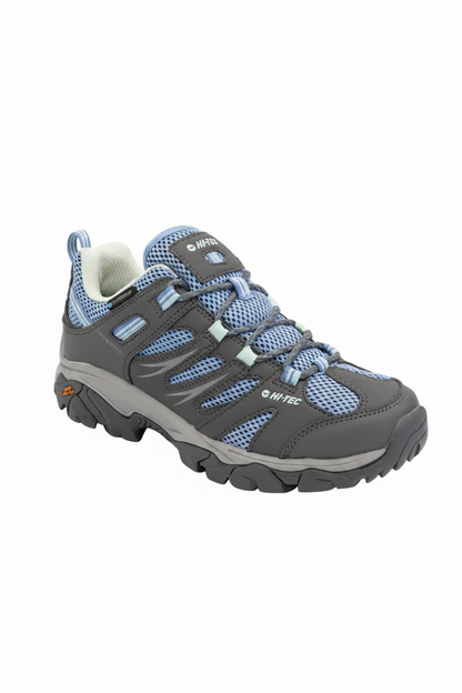 Gray and blue hiking shoe on a white background