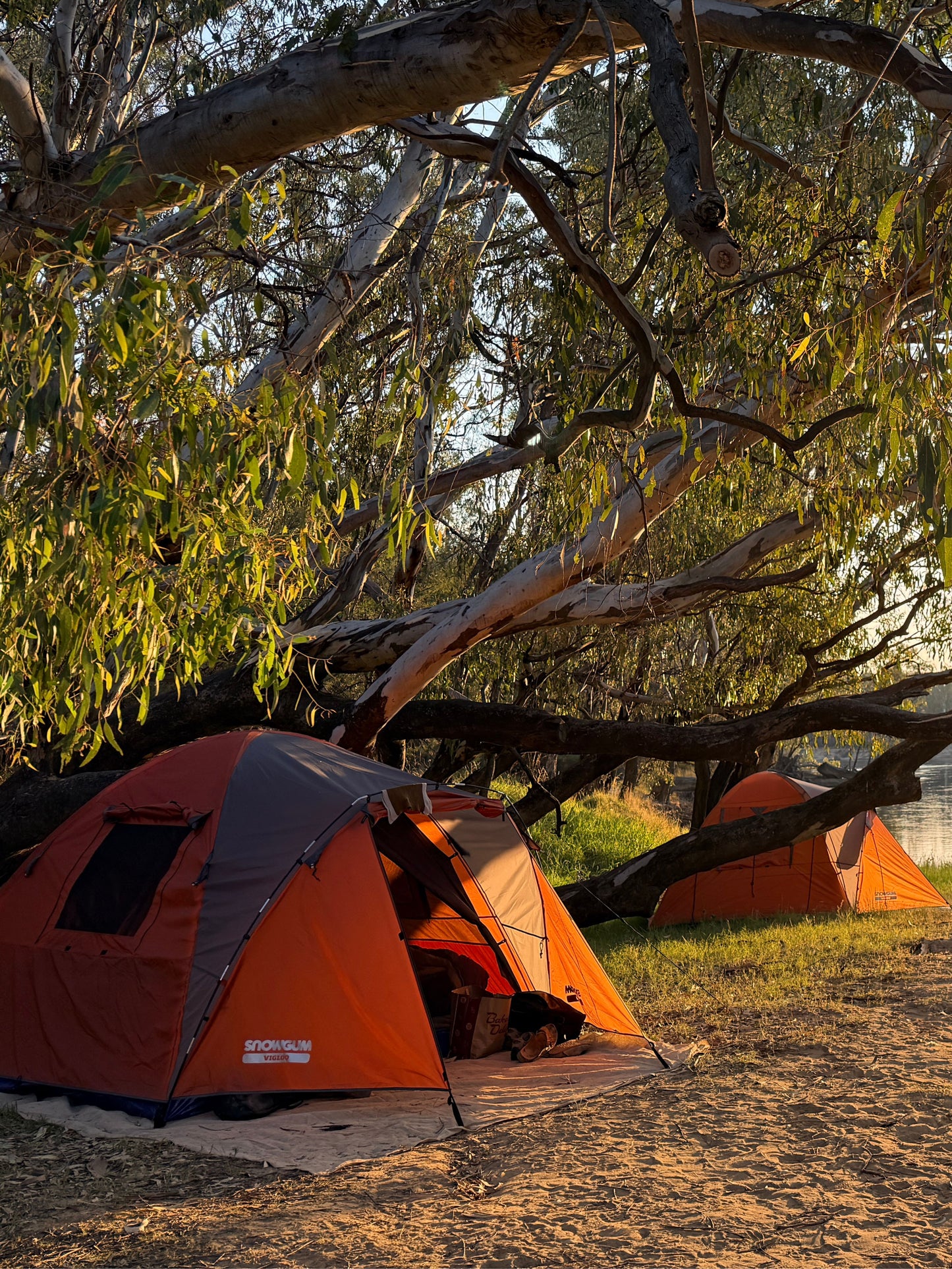 Vigloo 4 Person Tent
