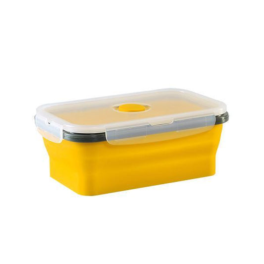 Collapsible Conatiner Medium